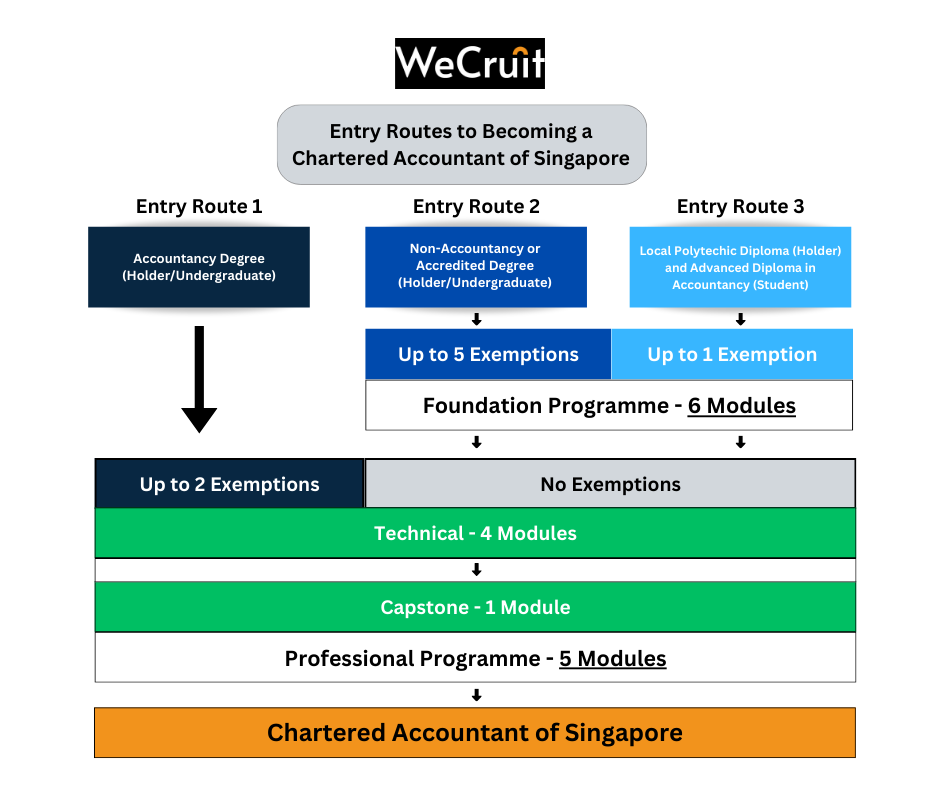 Entry Routes to Becoming a Chartered Accountant of Singapore